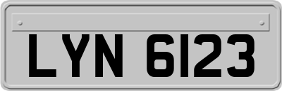 LYN6123