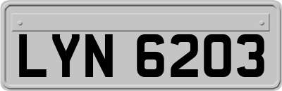 LYN6203
