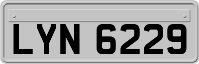 LYN6229