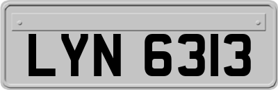 LYN6313