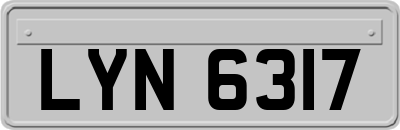 LYN6317
