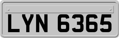 LYN6365