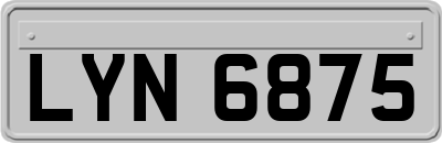 LYN6875
