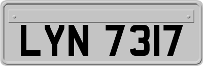 LYN7317