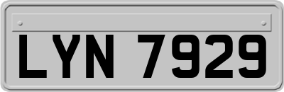LYN7929