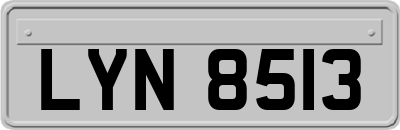 LYN8513