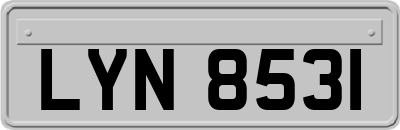 LYN8531
