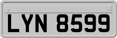 LYN8599