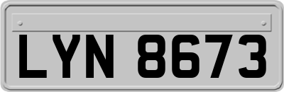 LYN8673