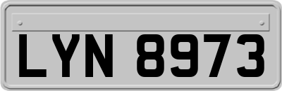LYN8973