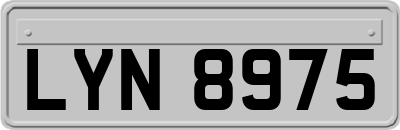 LYN8975