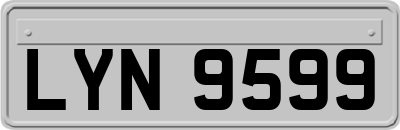 LYN9599