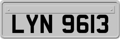 LYN9613