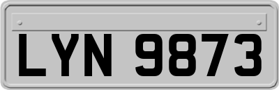 LYN9873