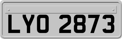 LYO2873