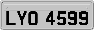 LYO4599