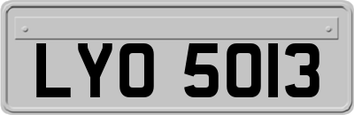 LYO5013