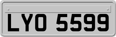 LYO5599