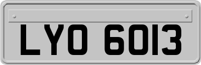 LYO6013