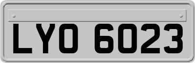 LYO6023