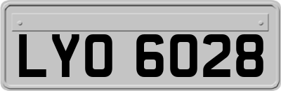 LYO6028