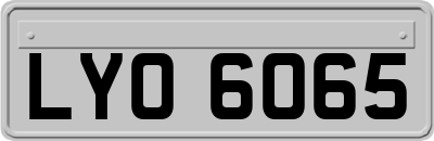 LYO6065