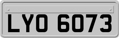LYO6073