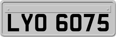 LYO6075