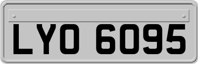 LYO6095