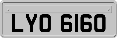 LYO6160