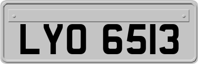 LYO6513