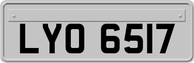 LYO6517