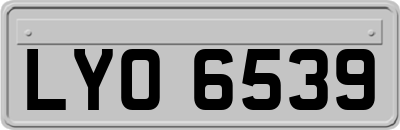 LYO6539