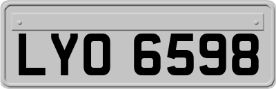 LYO6598
