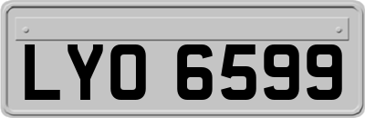 LYO6599