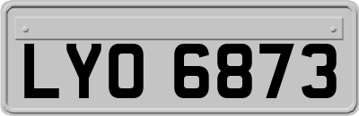 LYO6873