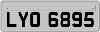 LYO6895