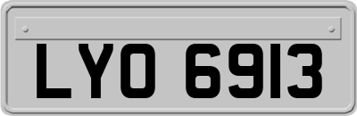 LYO6913