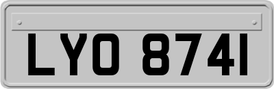 LYO8741