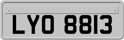 LYO8813