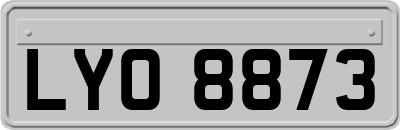 LYO8873