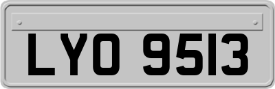 LYO9513