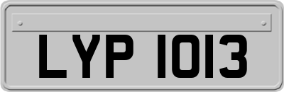 LYP1013