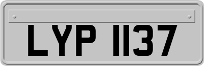 LYP1137