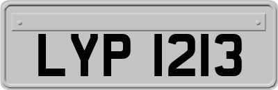 LYP1213