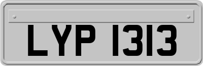 LYP1313