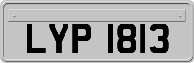 LYP1813