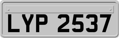LYP2537