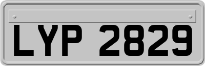 LYP2829