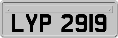 LYP2919